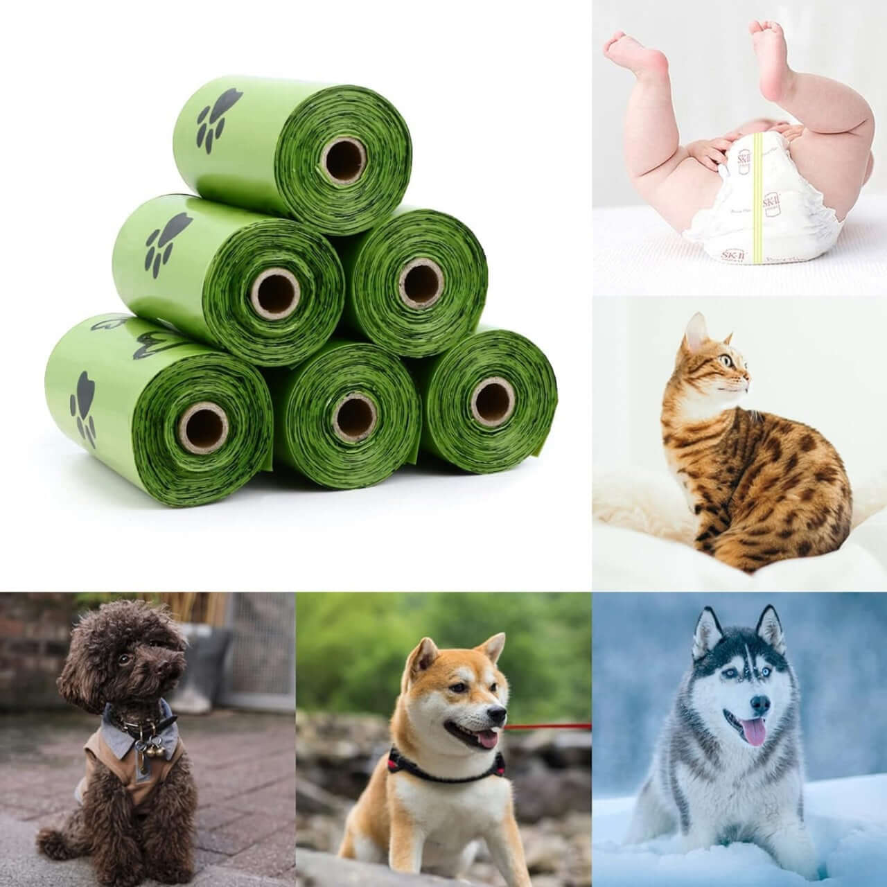 1 Dog Poop Bag Dispenser + 8 Roll Lavender Scented Poop Bags