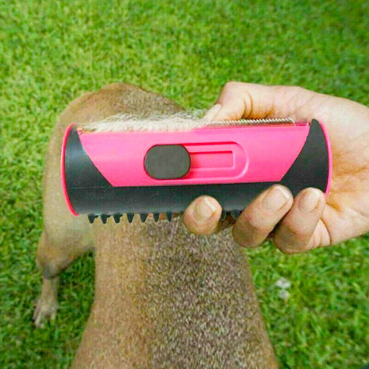 Pet Dog & Cat Hair Deshedding Tool – Dual-Sided Fur & Massage Brush ...