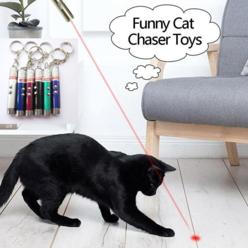 1mW Powerful Laser Lazer Pointer Pen High Professional Power 650nm Pet Toy - Esellertree