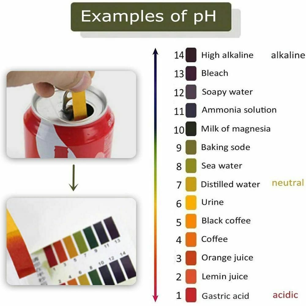 80 Pcs Full Range 1-14 pH Test Paper Strips Litmus Testing Indicator Universal - Esellertree